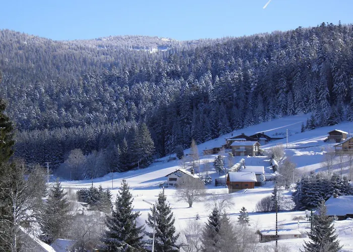 Prázdninový dům Renove Proche Du Valtin - Ideal Pour Famille, Randonnees Et Ski, Wifi, Luges Fournies - Fr-1-589-150 *