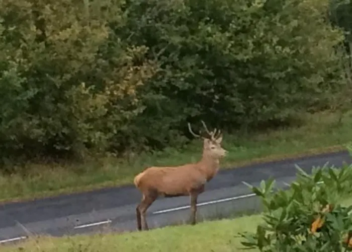 Renove Proche Du Valtin - Ideal Pour Famille, Randonnees Et Ski, Wifi, Luges Fournies - Fr-1-589-150 * Ban-sur-Meurthe-Clefcy